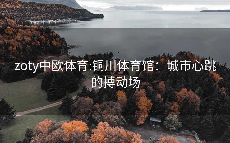 zoty中欧体育:铜川体育馆：城市心跳的搏动场