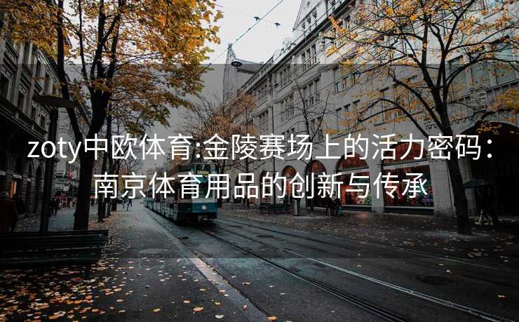 zoty中欧体育:金陵赛场上的活力密码：南京体育用品的创新与传承