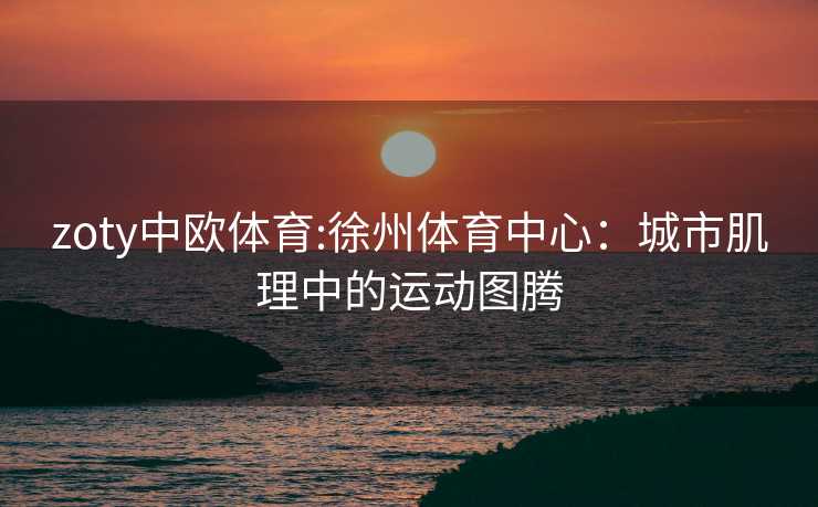zoty中欧体育:徐州体育中心：城市肌理中的运动图腾